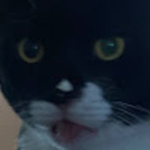 Meet your Posher, Dana